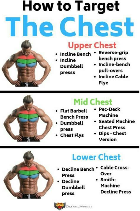 Muscle Fitness Best Chest Workout Chest Workout Routine Chest Workout