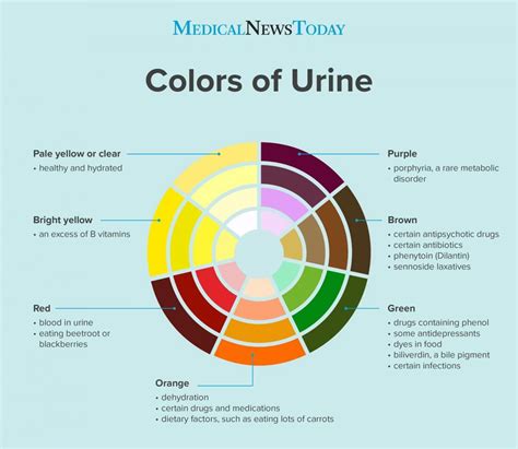 Have visible blood in the urine without pain, and tests showed the absence of inflammation. Bright yellow urine: Colors, changes, and causes | Color ...