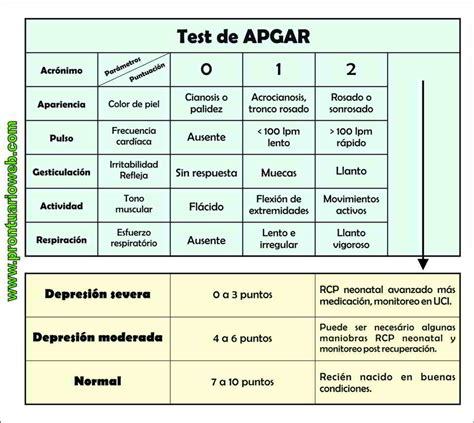 Apgar ⋆ Prontuarioweb