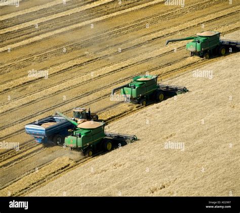 Aerial View Of Three John Deere Combines Harvesting 95 100 Bu Wheat
