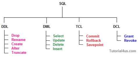 Sql Commands And Data Types Sql Basics Dbms Tutorial