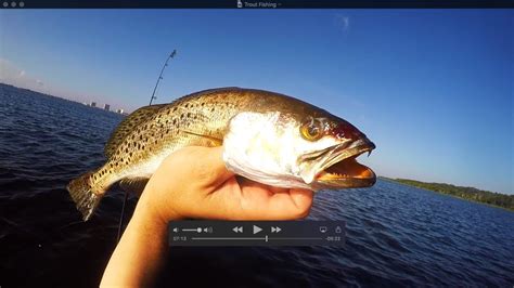 Nonstop Speckled Trout Bite Youtube
