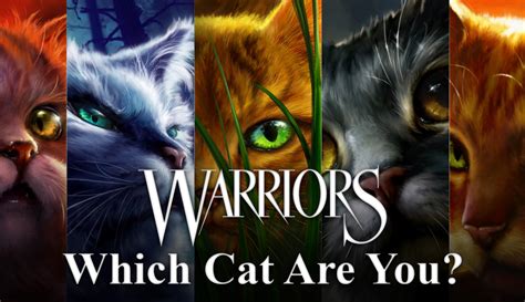 Warrior Cats Quiz Which 1 Of 10 Cats Is Same As You