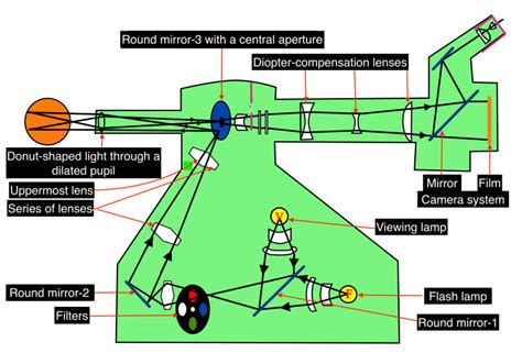 Figure Optics Of Fundus Camera Statpearls Ncbi Bookshelf