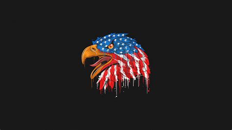 2560x1440 American Flag Eagle Minimal 4k 1440p Resolution Hd 4k