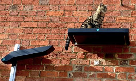 catipilla releases new cat climbing frame post
