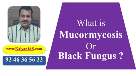 What Is Mucormycosis Or Black Fungus Youtube