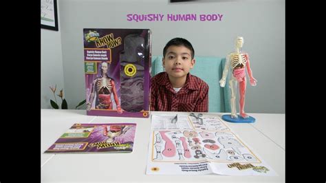 Squishy Human Body - YouTube