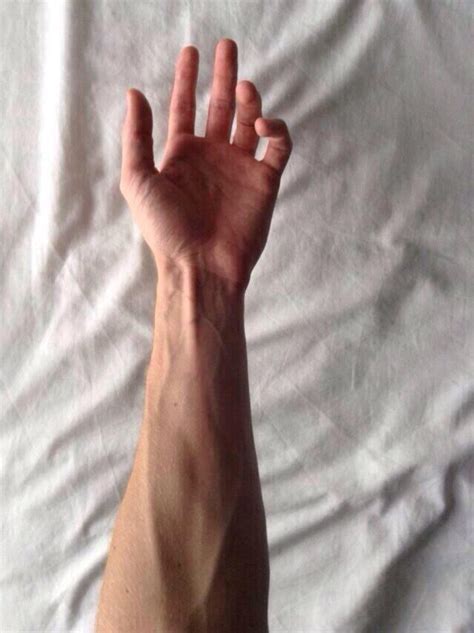 Are Vascular Arms On Guys Attractive Social Anxiety Forum