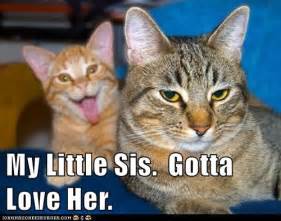 Gotta Love Her Lolcats Lol Cat Memes Funny Cats Funny Cat