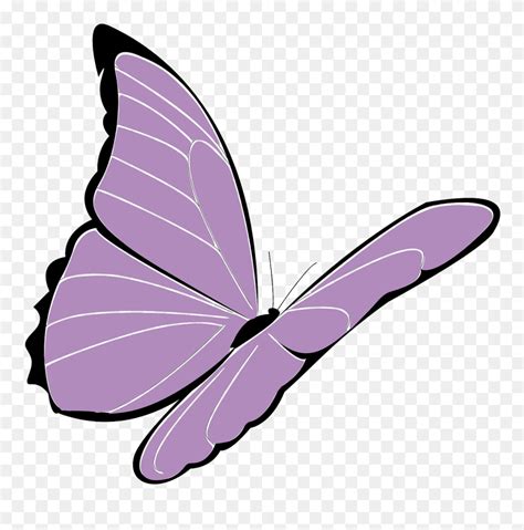 Cartoon Purple Butterfly Clipart