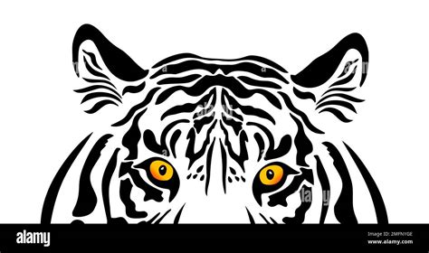 Eyes Of The Tiger Vector Illustration Stock Vector Image And Art Alamy