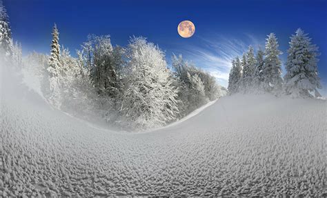 Здравствуй зимушка зимаФотообои Обсуждение на Liveinternet