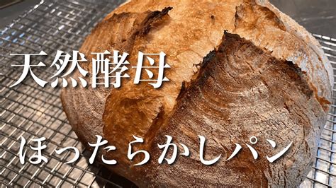 sub 自家製天然酵母パンレシピ 低温長時間発酵 超熟成生地 2種のフランスパンの作り方・ homemade sourdough