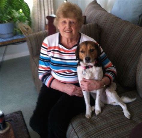 Bay Village Woman Says Mimi 6 Year Old Beagle Is Joy Of My Life