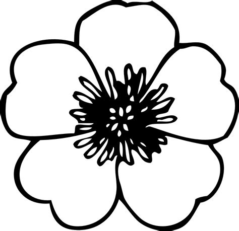 Free Flower Png Black And White Download Free Flower Png Black And White Png Images Free
