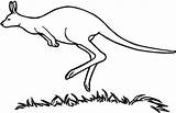 Australia Kangaroo Coloring Famous Animal sketch template