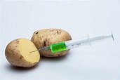 Are GMO Potatoes Safe? A Biogenineer Reveals The Truth