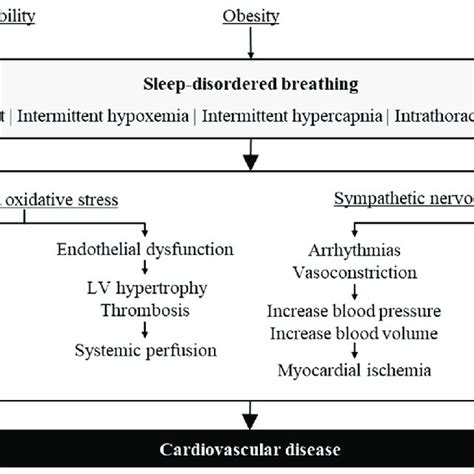Pathophysiological Consequence Of Sleep Disordered Breathing And