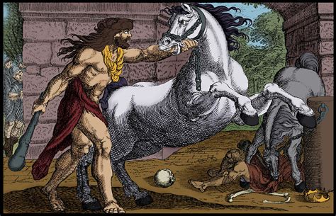 Labors Of Hercules Steal The Mares Photograph By Science Source