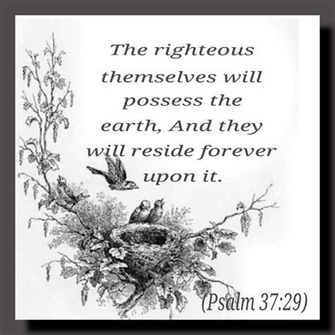 The Righteous Are Promised To Possess The Earth Not Heaven