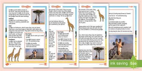 Facts And Activities For Kids To Learn About Giraffes