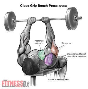 You have found the most comprehensive fitness parts index in existence! Panca piana presa stretta | Fitness | Pinterest | Bench ...