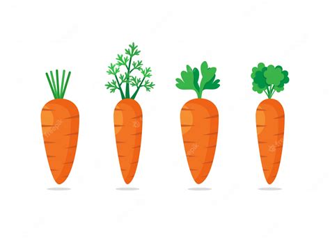 Premium Vector Set Of Four Carrots With Green Leaves Sweet Vegetable