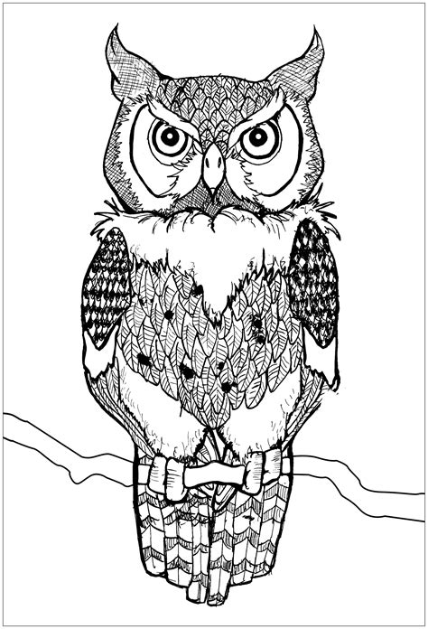 Coloring Pages Of Owls For Kids Owl Coloring Page Line Illustration