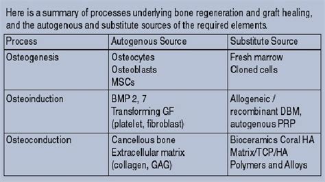 A Closer Look At Bone Graft Substitutes