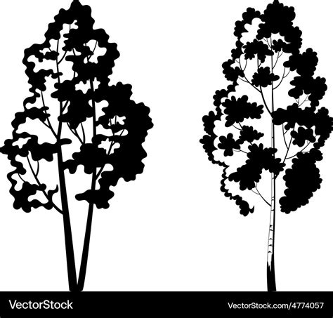 Trees Birch And Symbolic Silhouette Royalty Free Vector