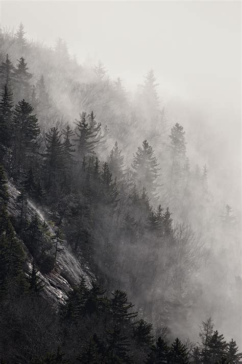 Foggy Mountain Forest Photograph By Ken Barrett Pixels