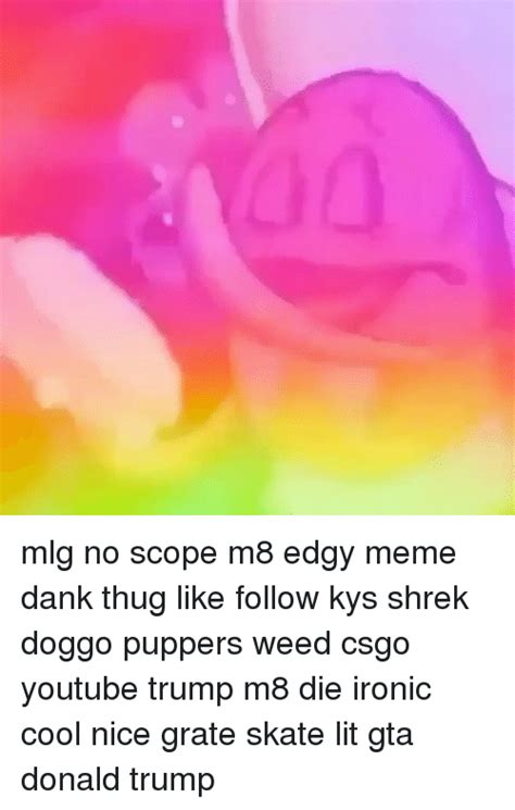 00 Mlg No Scope M8 Edgy Meme Dank Thug Like Follow Kys Shrek Doggo