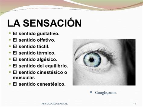 SensaciÓn Y PercepciÓn Fanny Jem Wong