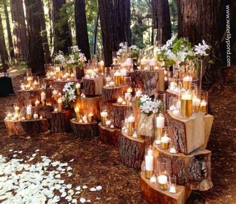 36 Budget Friendly Outdoor Wedding Ideas For Fall Vis Wed Woodland
