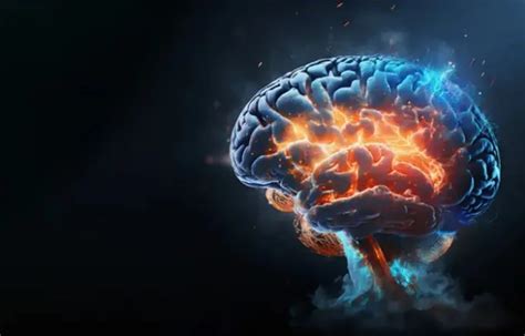 دراسة تكشف مفاجأة عن الدماغ والنسيان البوابة