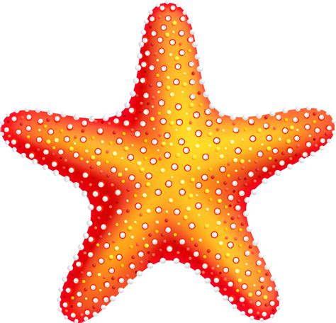 Download High Quality Starfish Clipart Little Mermaid Transparent Png