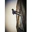 Rock Climbing Photography With Monty Milburn  OMS Photo
