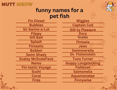 Funny Names For A Pet Fish Mutt Meow