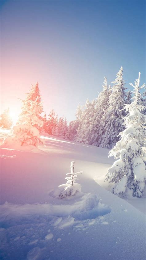Winter Relax Wallpapers Wallpaper Cave