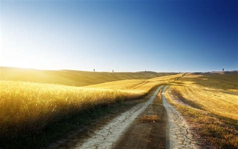 Online Crop Road Surrounded By Grass Hd Wallpaper Wallpaper Flare