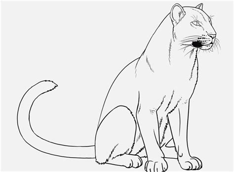 The best free Panther coloring page images. Download from 319 free