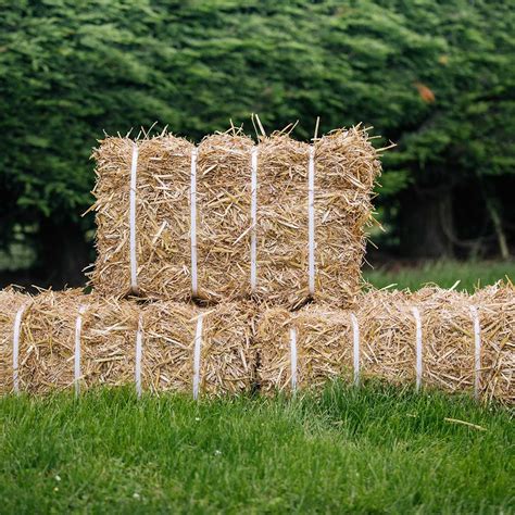 Straw Bales For Sale Uk Is Going Crazy Weblogs Pictures Library