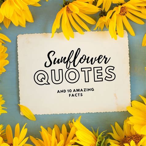Read These Famous Sunflower Quotes To Get A Dose Of Positivity