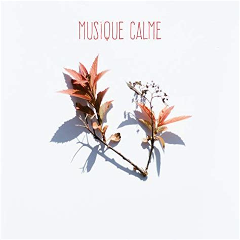 Play Musique Calme By Musique Calme Calming Music Ensemble