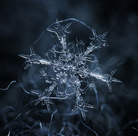 Amazing Close Up Photos Of Snowflakes Will Give You Goosebumps