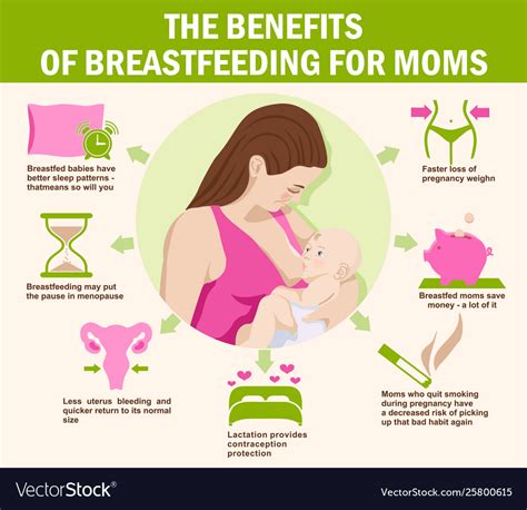 Benefits Breastfeeding For Moms Maternity Vector Image