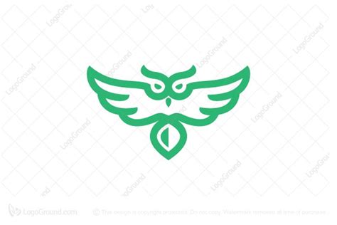 Green Owl Logo
