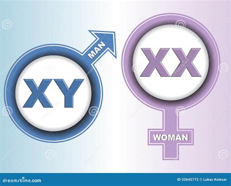 Male Female Chromosome Symbols