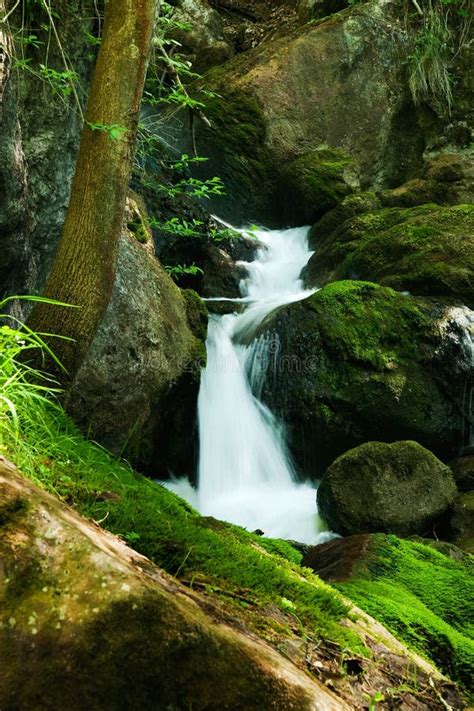 Cascade With Mossy Rocks In Forest Stock Image Image Of Peaceful